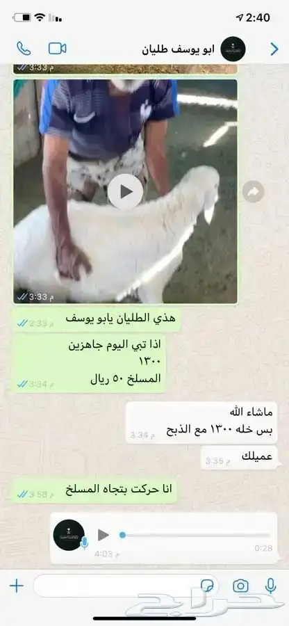 نوفر ذبايح ضيافة و ثلاجة وعقيقة مع السلخ ولتوصيل 13
