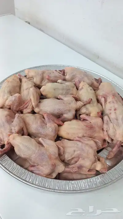 حمام فرنسي زغاليل 1