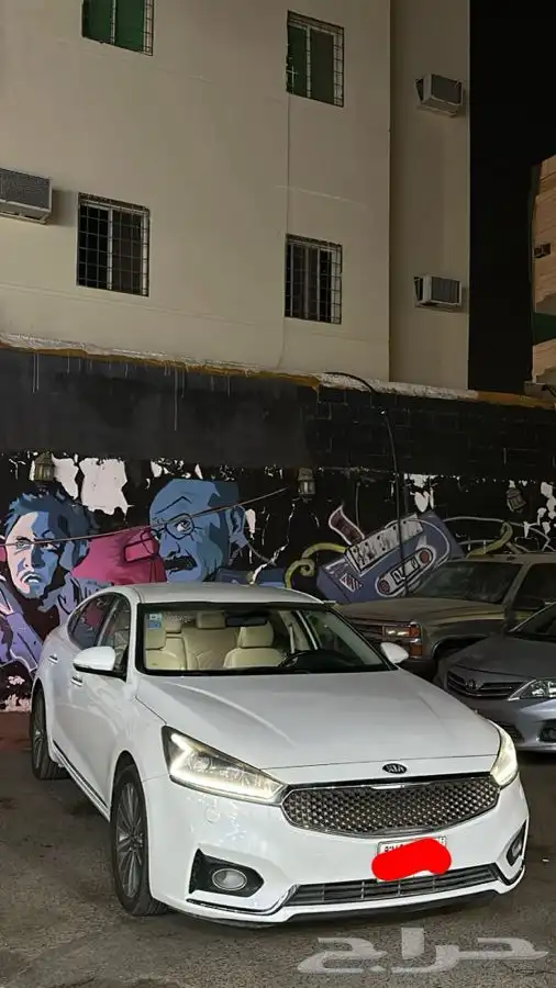 كادينزا 6