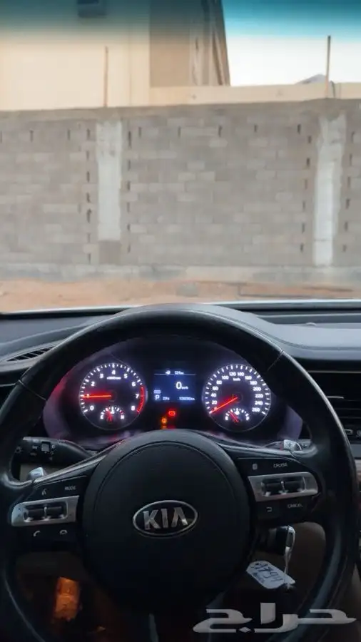 كادينزا 7
