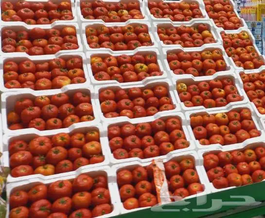 توريد خضار وفواكه للمطاعم. الفنادق صلات أعاشه محلات اسواق 24