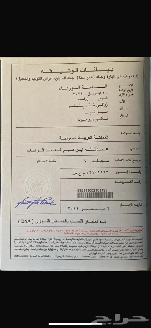 فرس للبيع بكر index