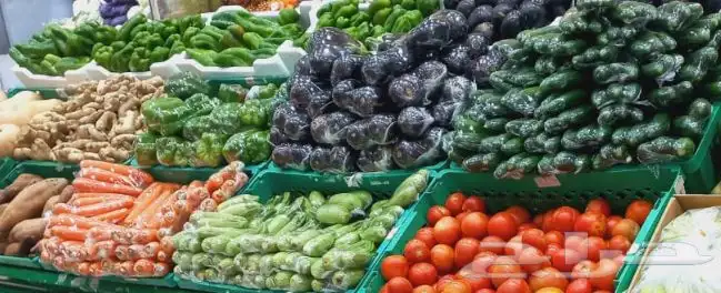 توريد خضار وفواكه للمطاعم. الفنادق صلات أعاشه محلات اسواق 13