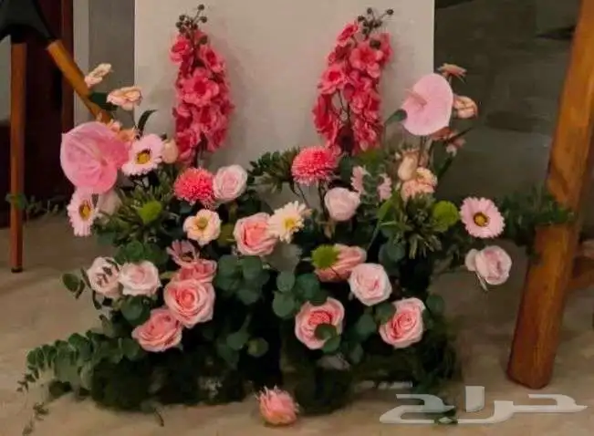 حفلات 1