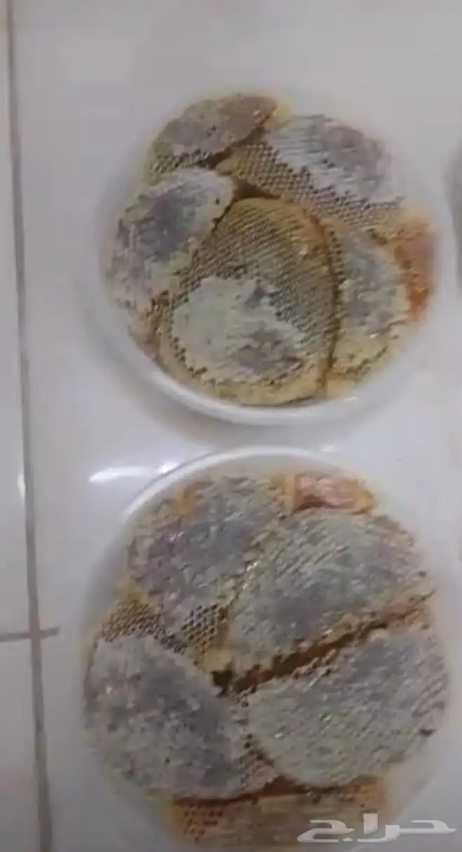 طلحة حائل اللهم زد وبارك لنا وللجميع متوفر شمع وعسل سايل 1