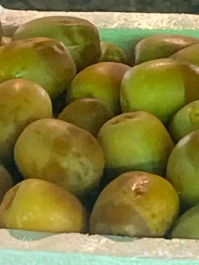 تمر روثانه حبه كبير 0