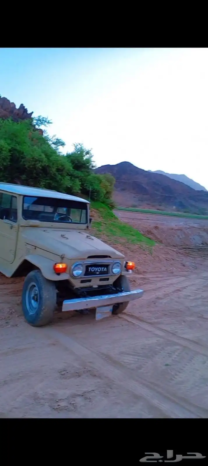 شاص 78 1