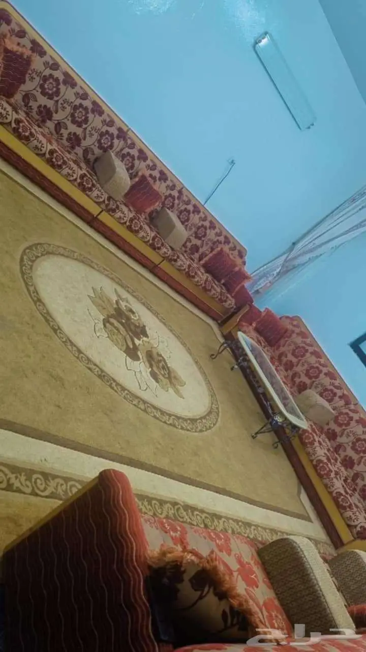 الكنب للبيع مع السجاده 0