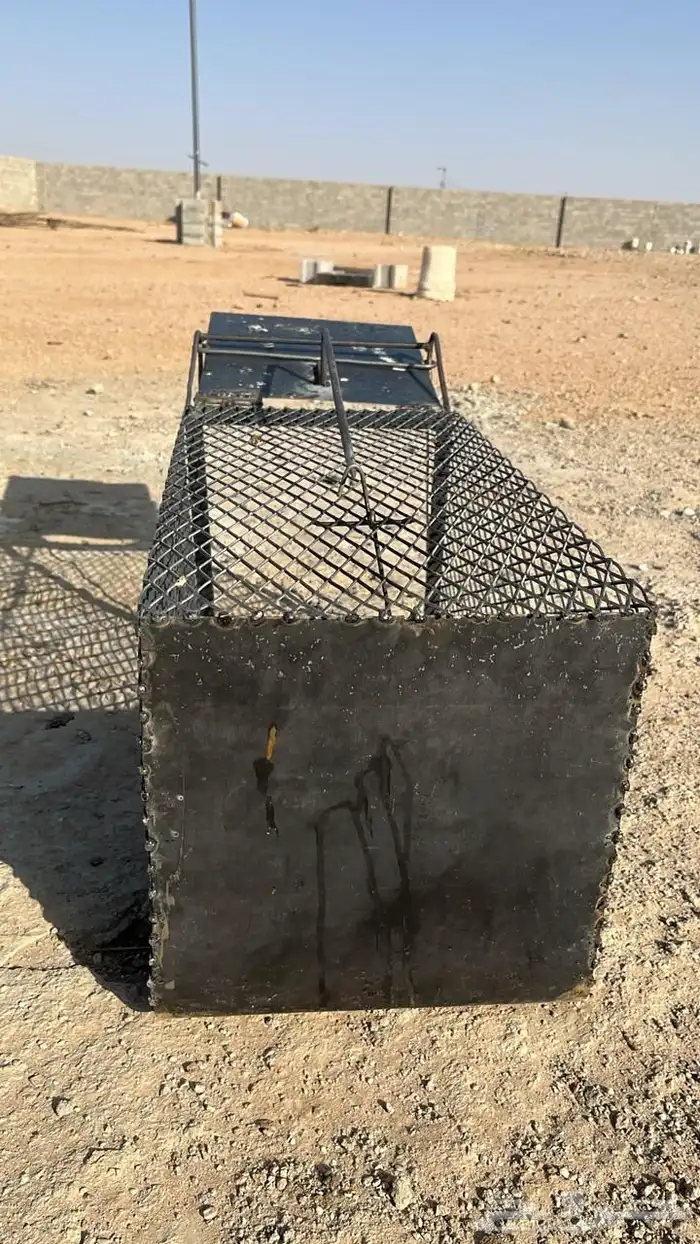 مصيدة قطط 1