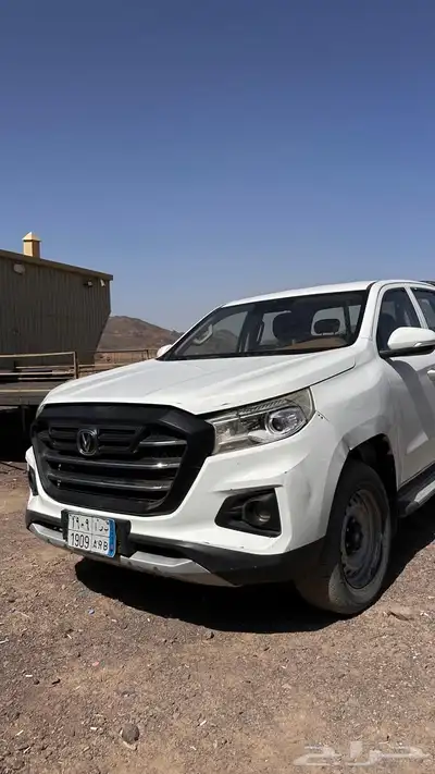 للبيع شنجان صيني للبيع 29