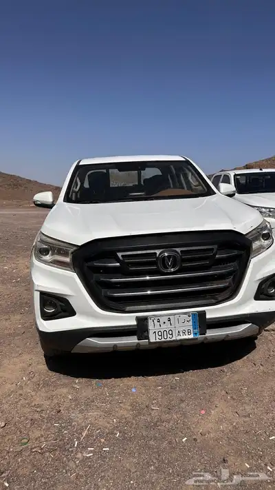 للبيع شنجان صيني للبيع 15