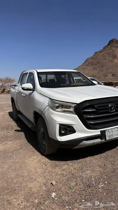 للبيع شنجان صيني للبيع 9