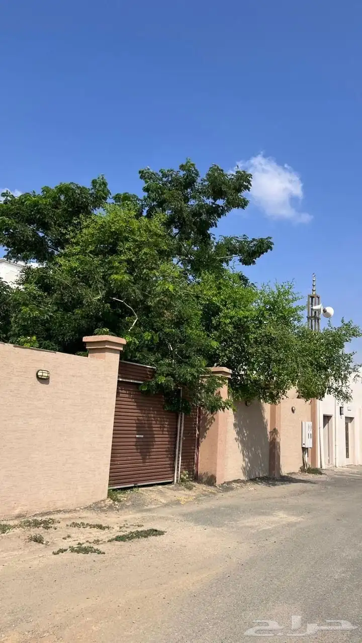 شالهيات للبيع 0