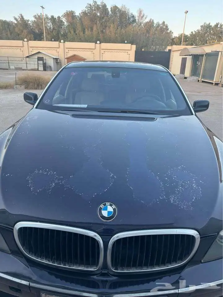 BMW 730Li V6 2008 7