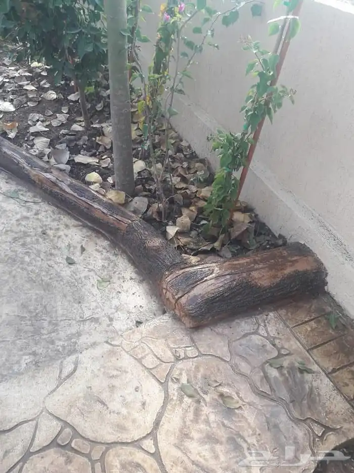 شلالات اندنيسي وجدريات صخريه 3