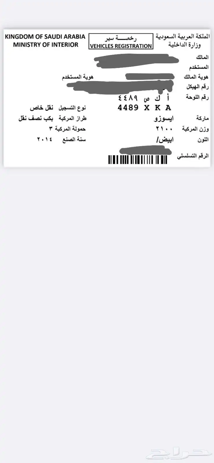 دينا 12