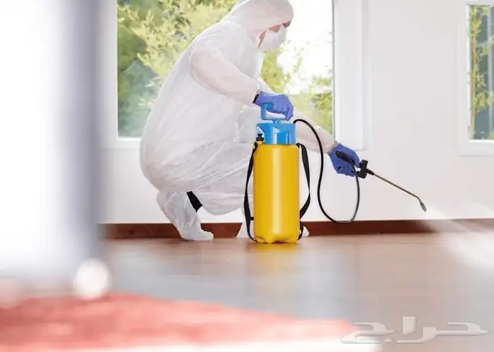 شركة رش حشرات رش صراصير بمكة 1