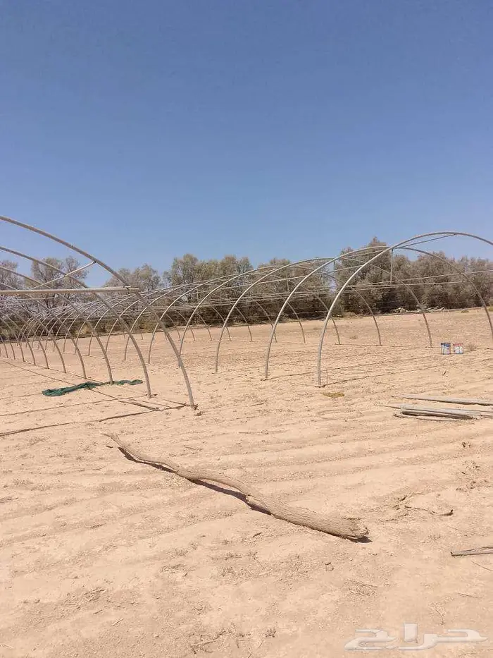 بيوت محمية 9 40 حديد مجلفن نظيف جدا 4