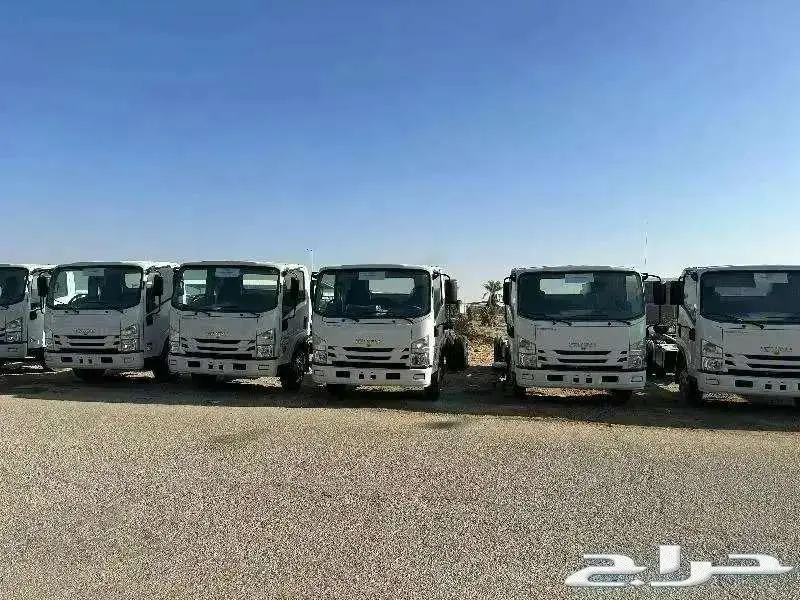 ايسوزو ديانا 0