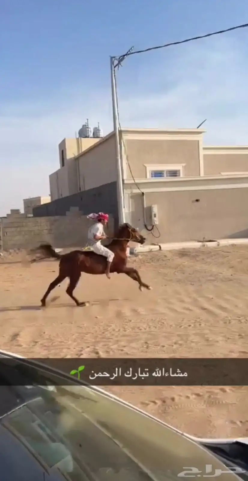 حصان كفو سليم وعلى الشرط index