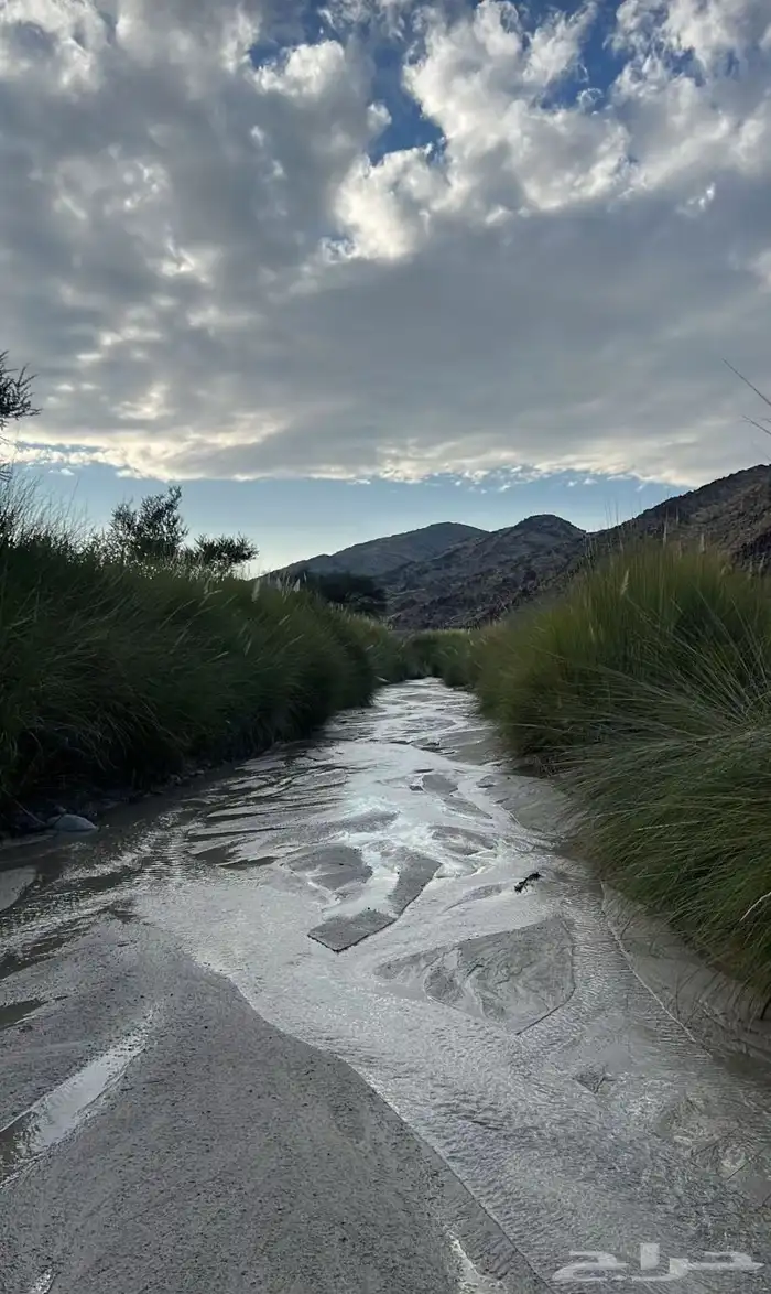 مطلوب كامري هيبرد 0