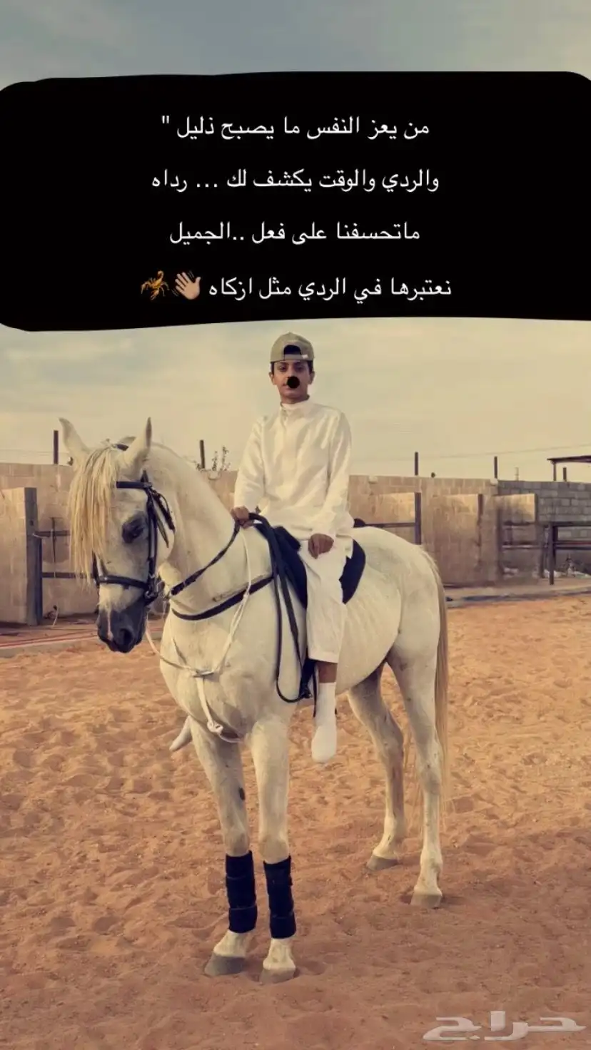 حصان كارثه لراعين هالطرب 2