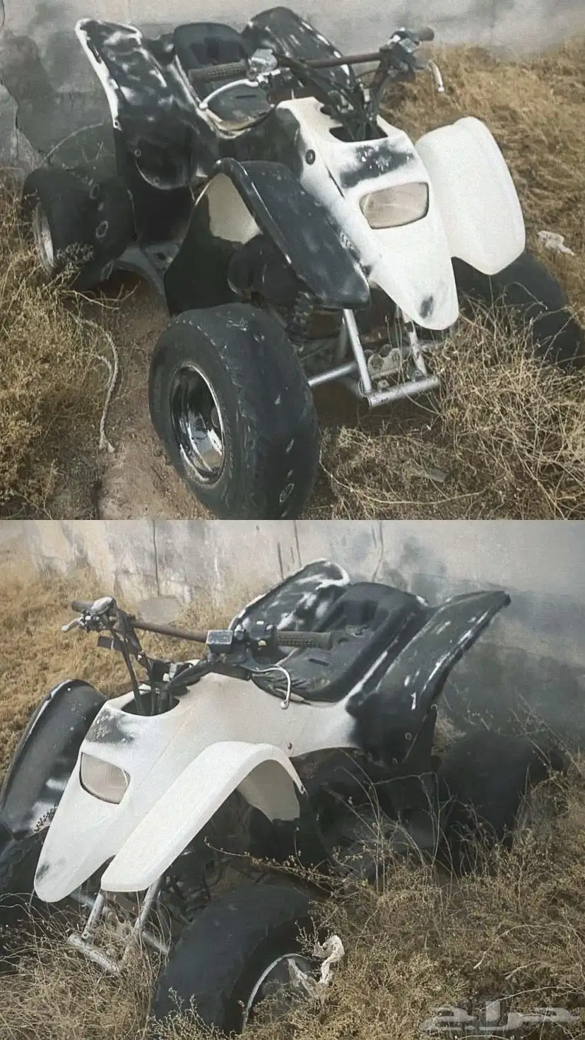 دباب للبيع 0