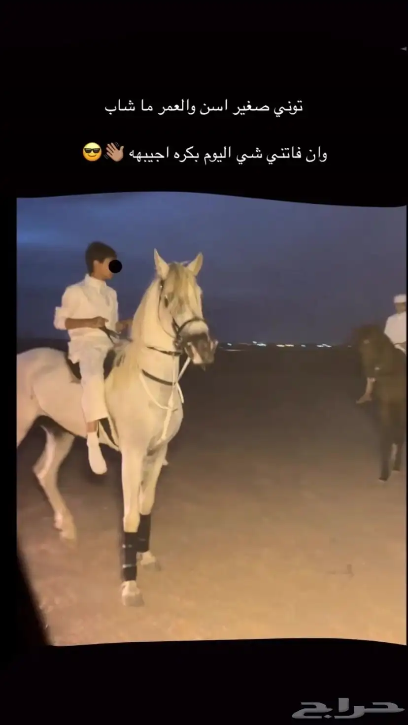 حصان كارثه لراعين هالطرب 3