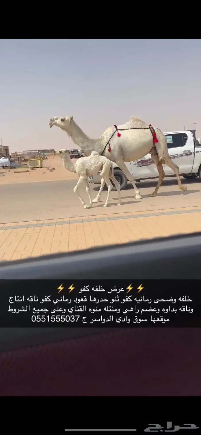 خلفه كفو 0