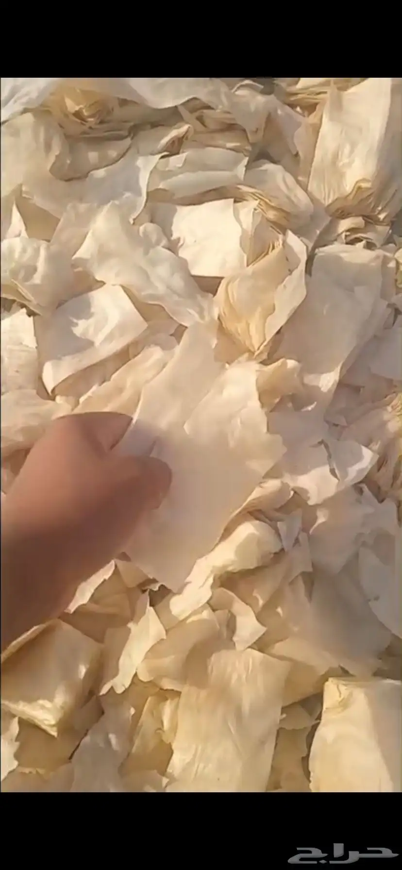 علف سمبوسه شرايح index