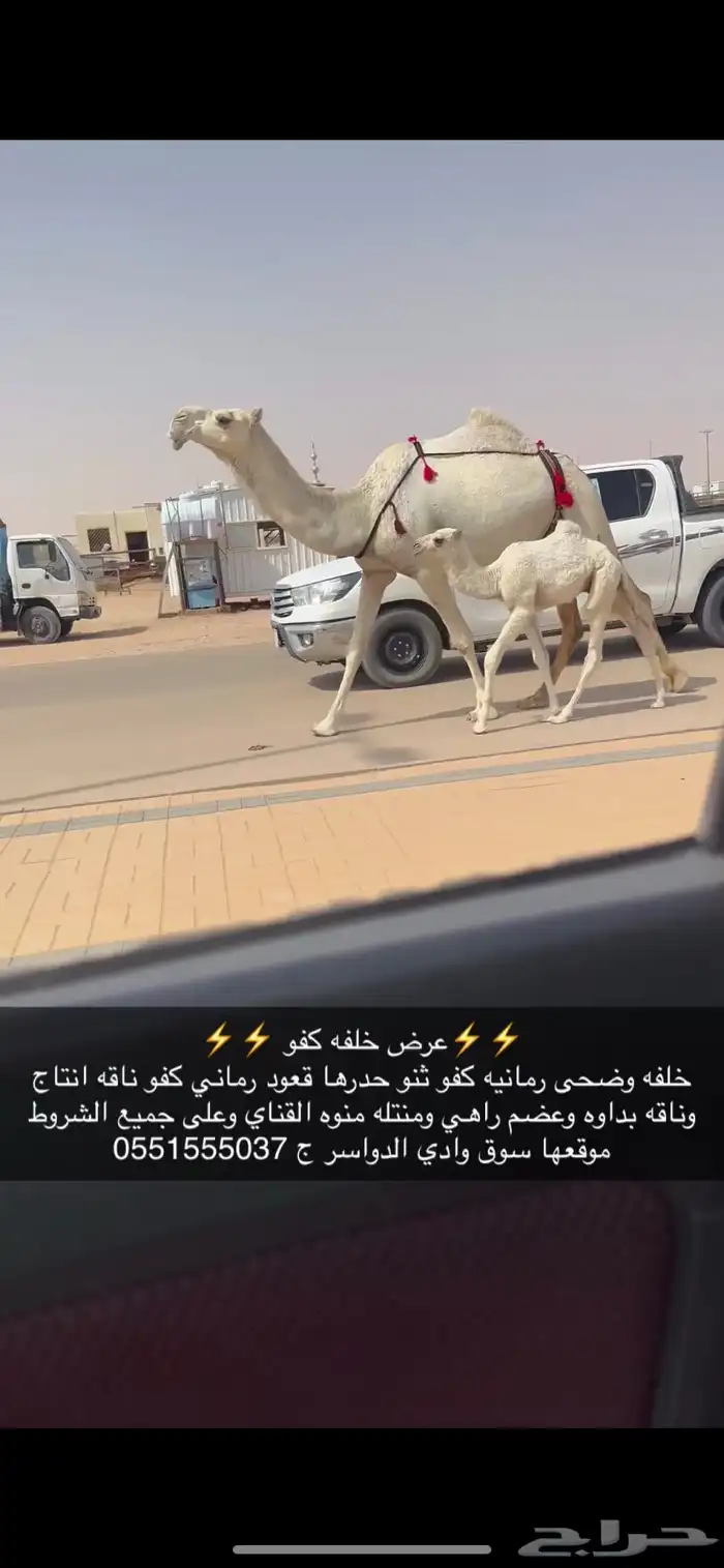 خلفه كفو 1