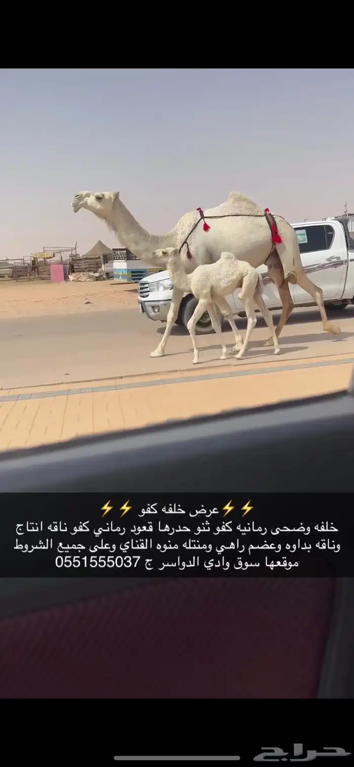 خلفه كفو 2