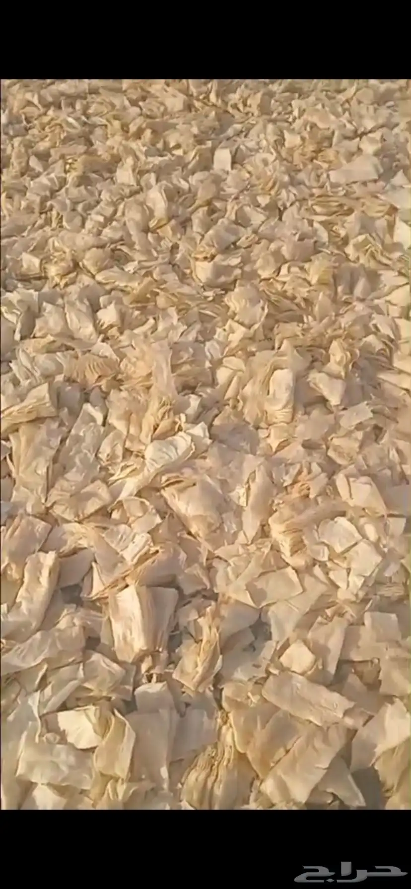 علف سمبوسه شرايح index