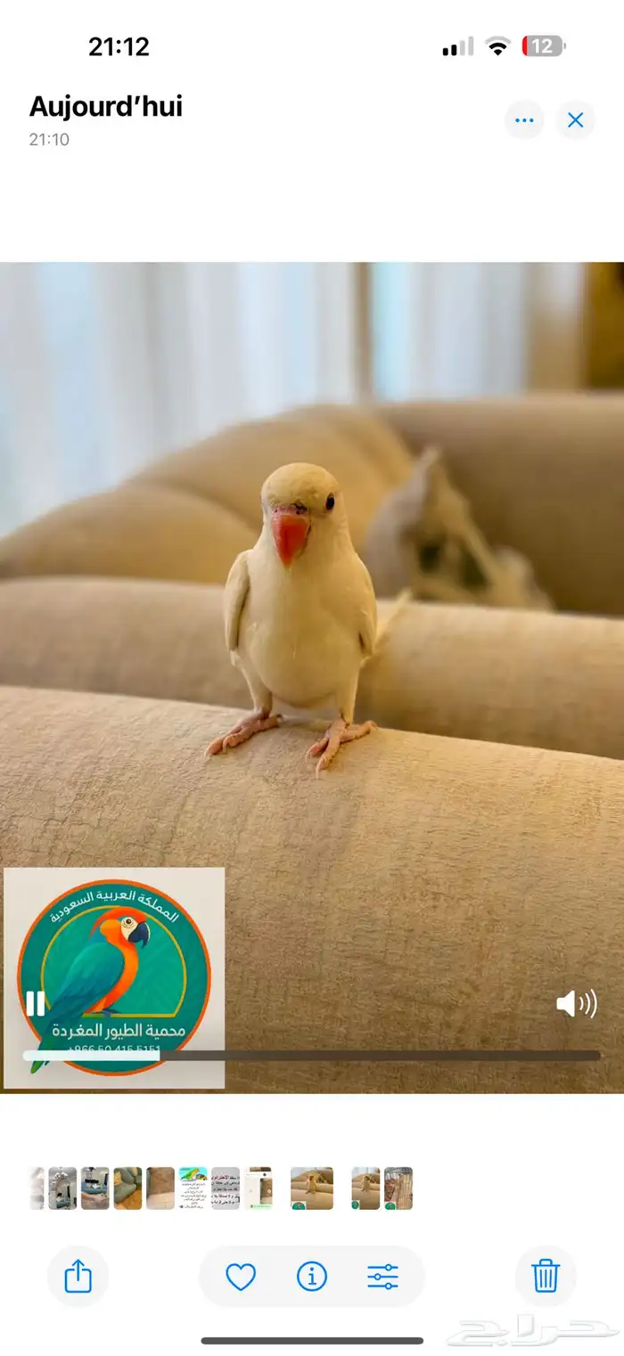 محمية الطيور المغردة 0