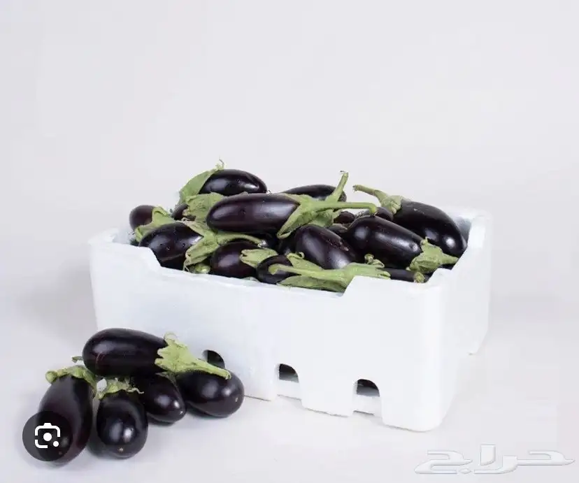 باذنجان 0