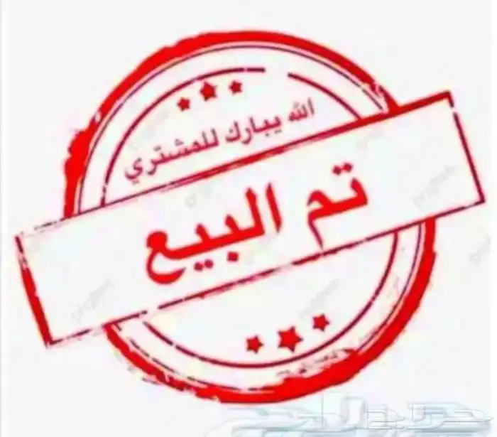 دجاج باكستاني 2