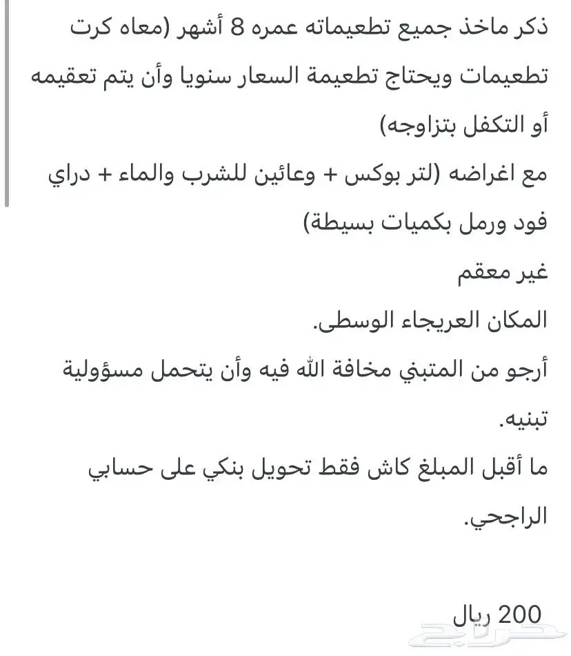 قط للتبني 1