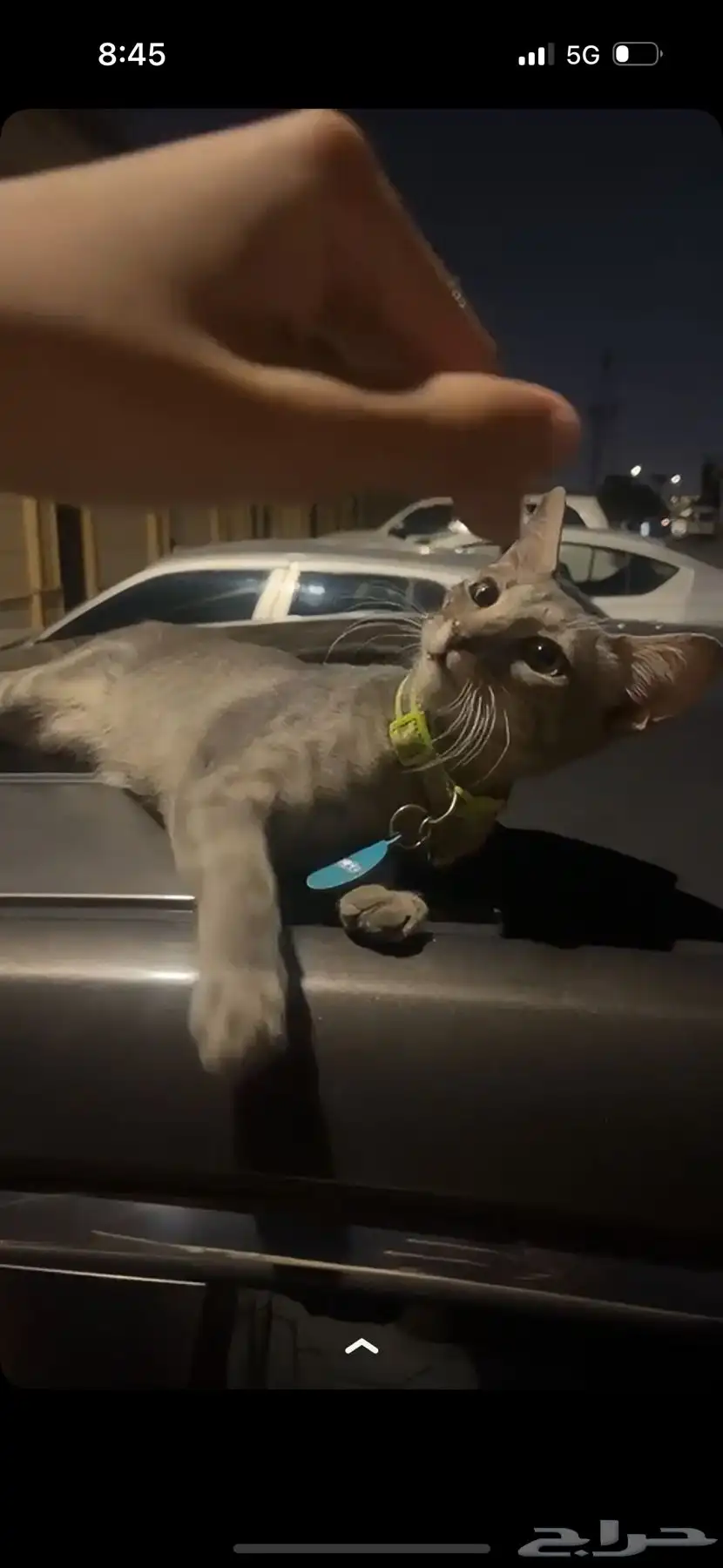 بسه ضايعه 0
