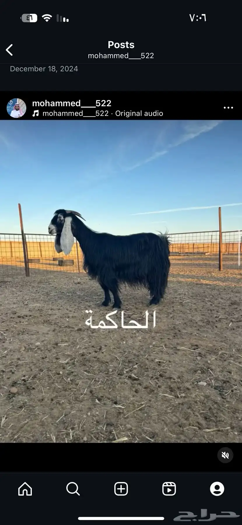 جفر عطر مستقبل فحل كفو 2