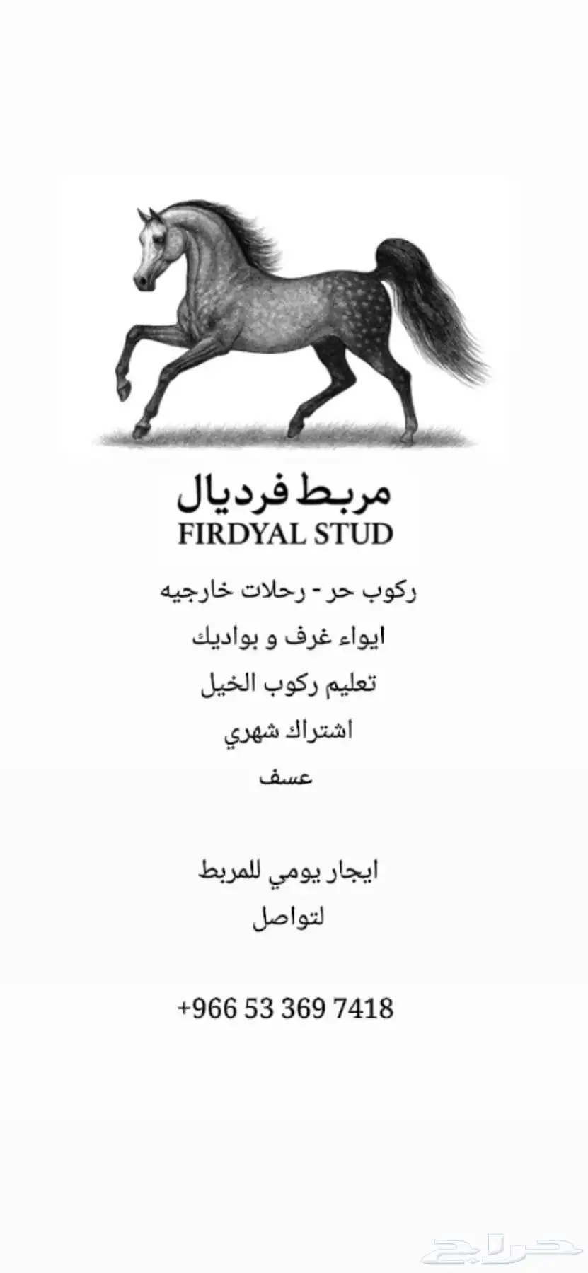ايواء للخيل   حصص تعليميه   ايجار يومي 0