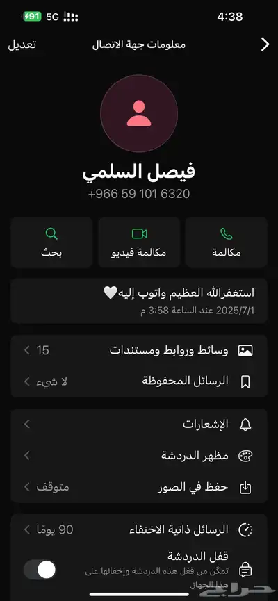 حرامي 3