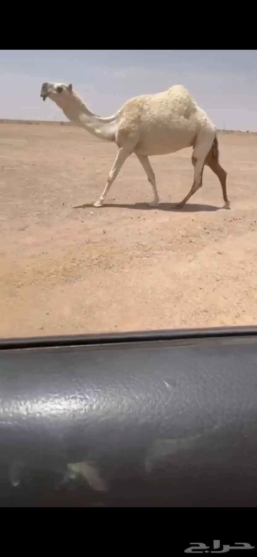للبيع الضريبه المنتج الكفووو 0