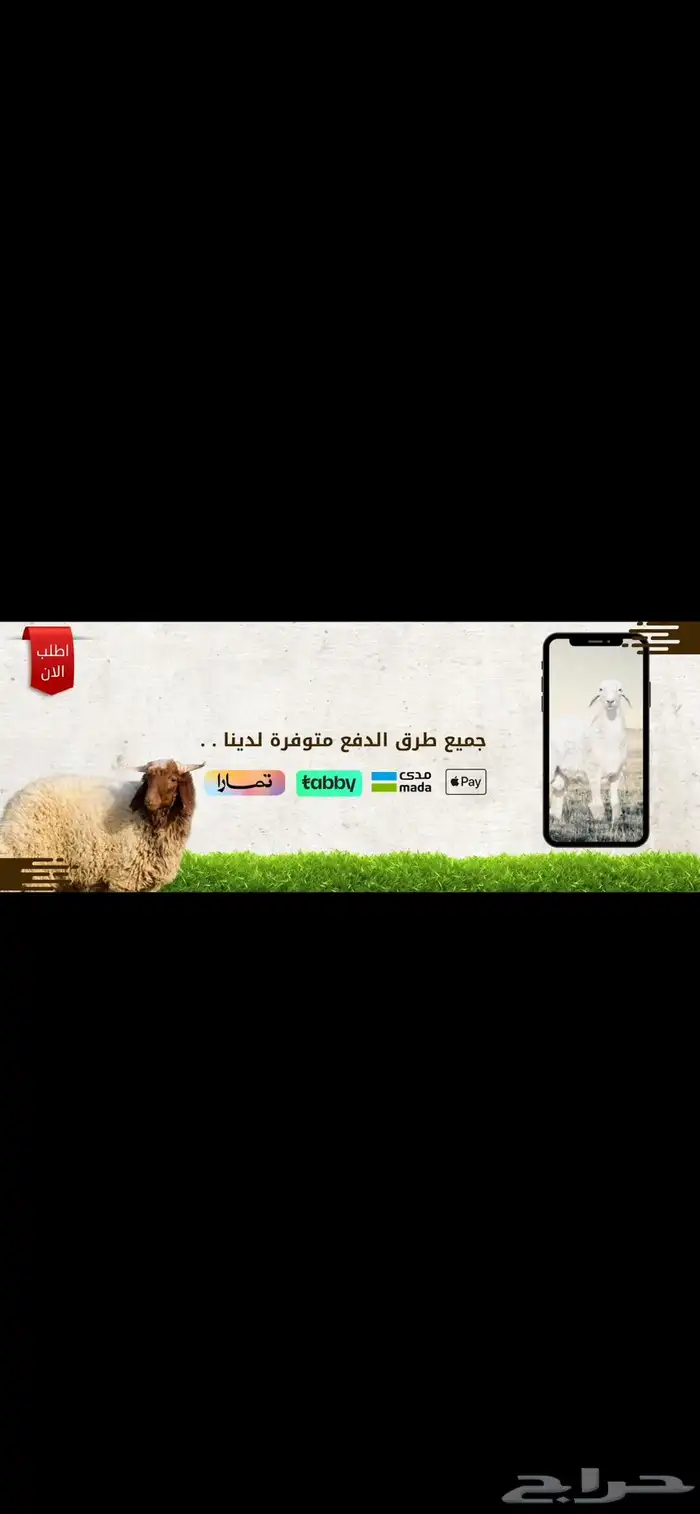 ذبايح تمار تابي 5