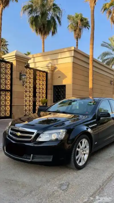 مطلوب كابرس مصدوم 0