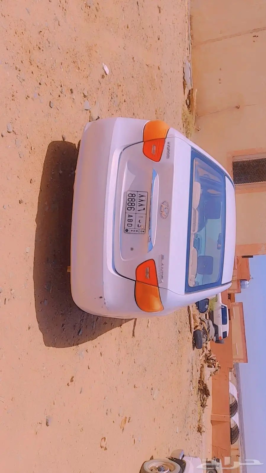 هونداء انتراء للبيع 1