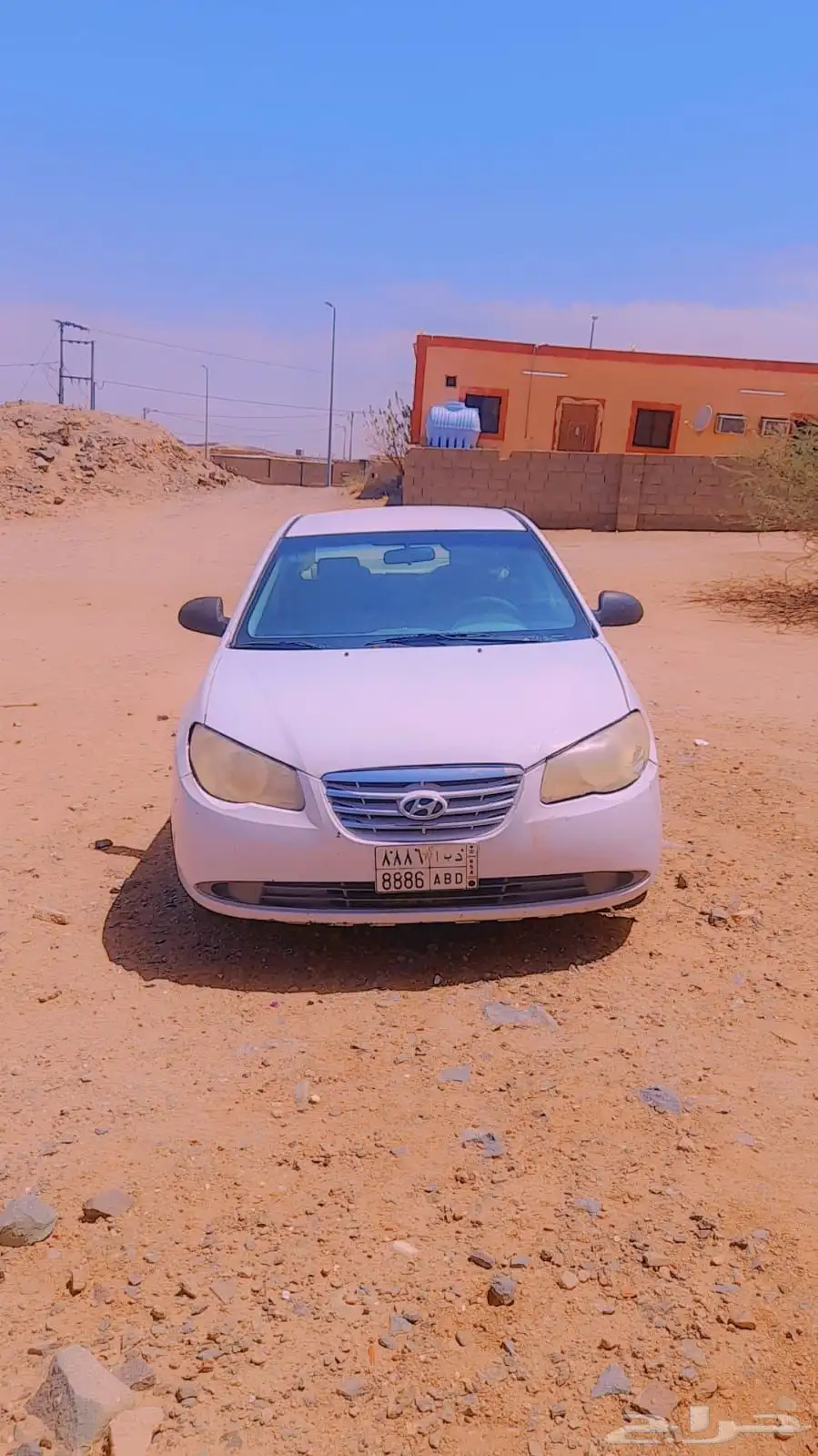 هونداء انتراء للبيع 4