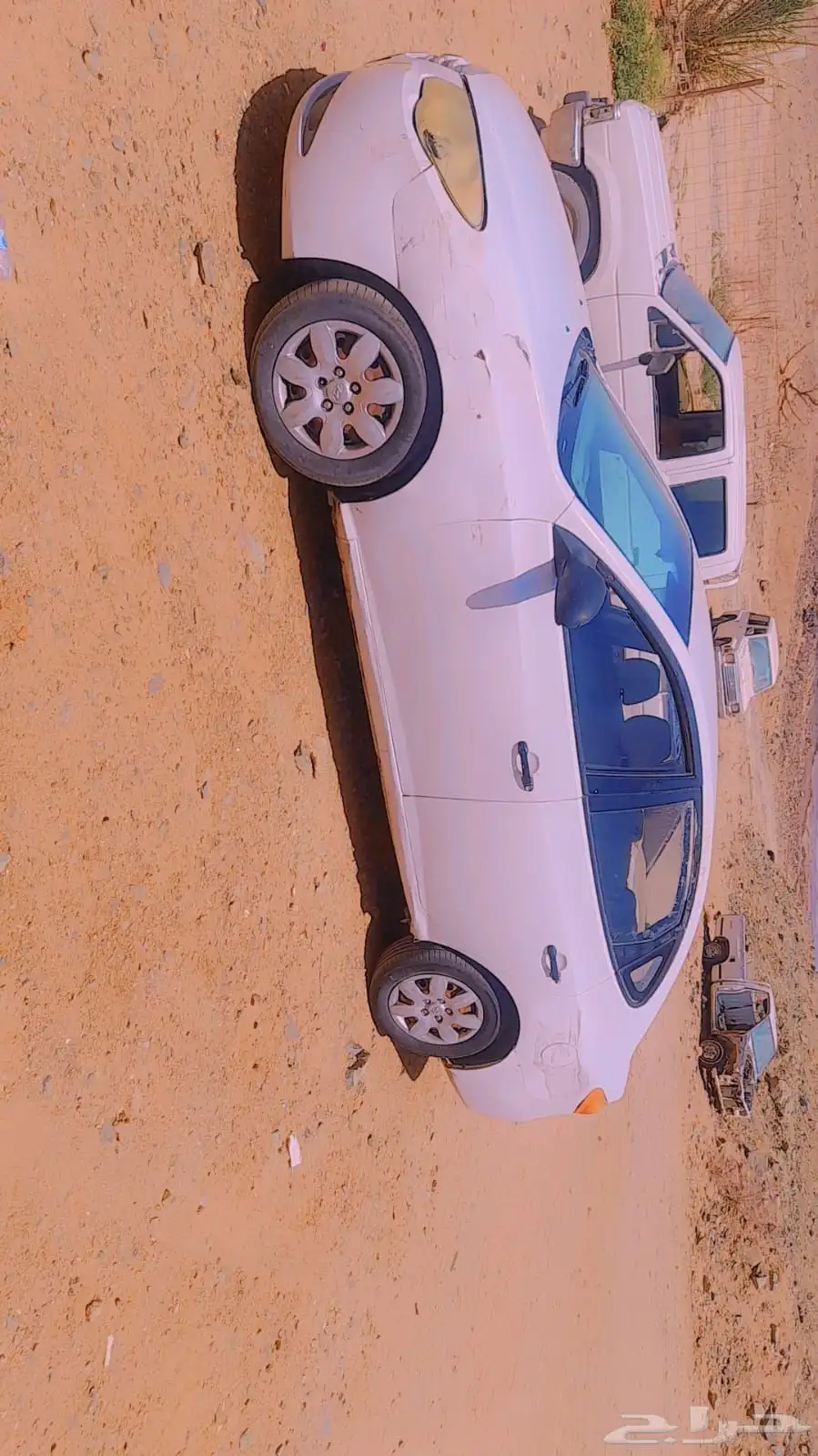 هونداء انتراء للبيع 3