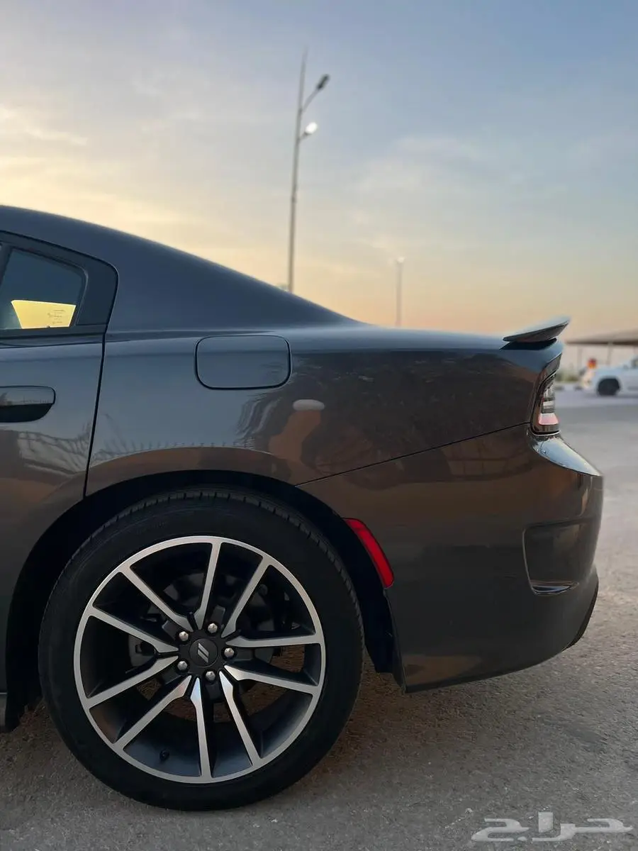 تشاجر RT 2021 17
