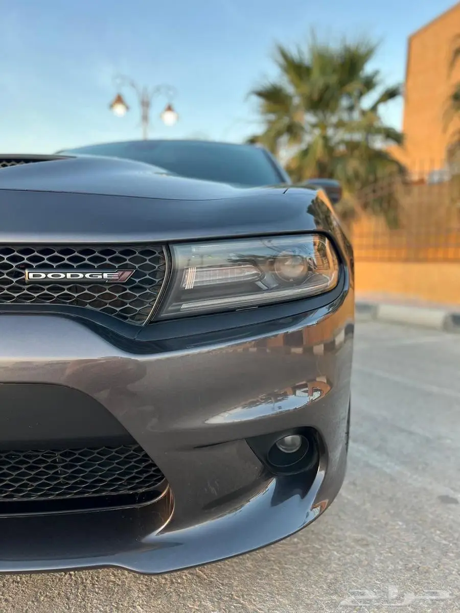 تشاجر RT 2021 23