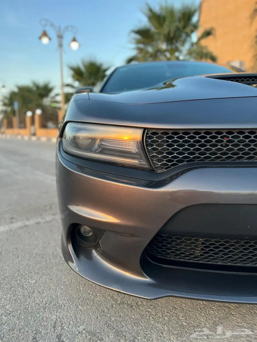 تشاجر RT 2021 24
